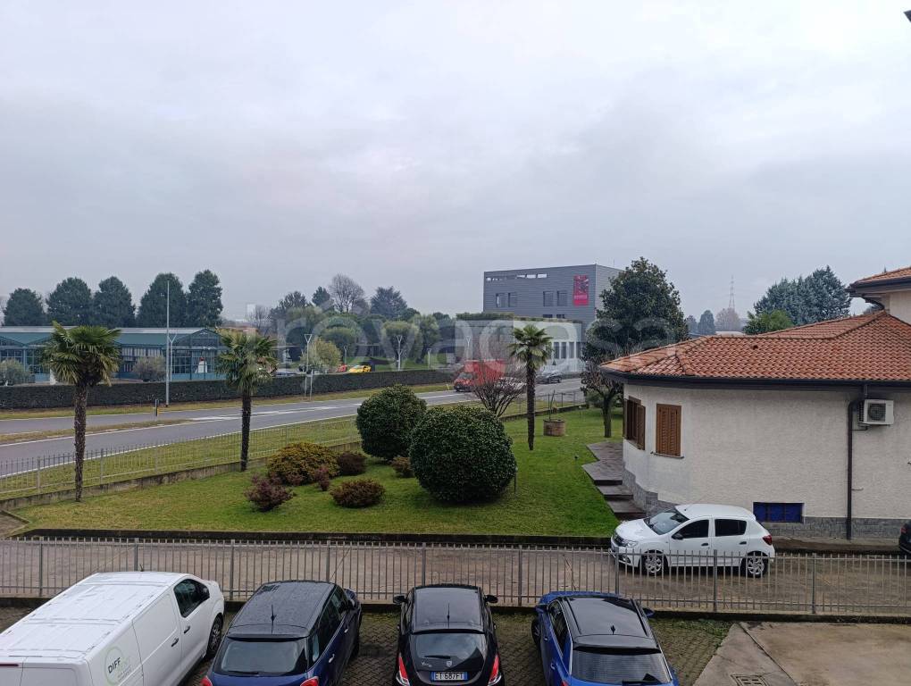 immagine annuncio 12 di 13