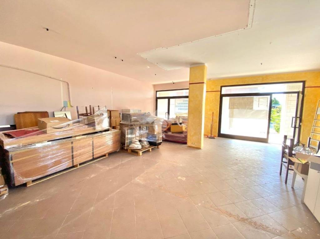 immagine annuncio 8 di 11