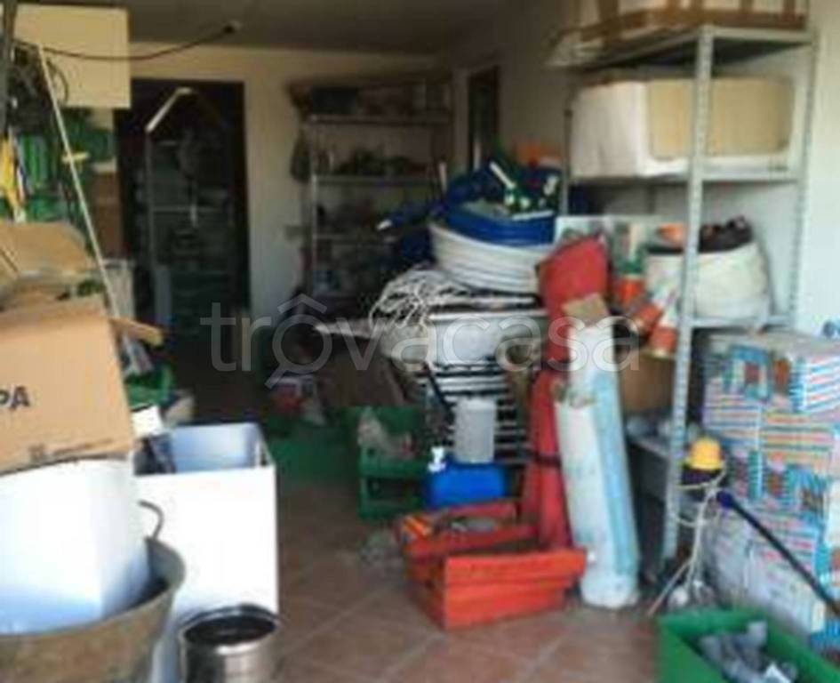 immagine annuncio 2 di 12