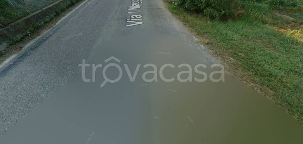 immagine annuncio 8 di 14