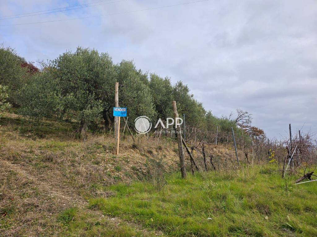 immagine annuncio 2 di 4