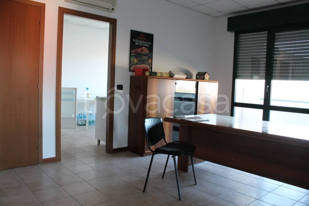 immagine annuncio 5 di 11