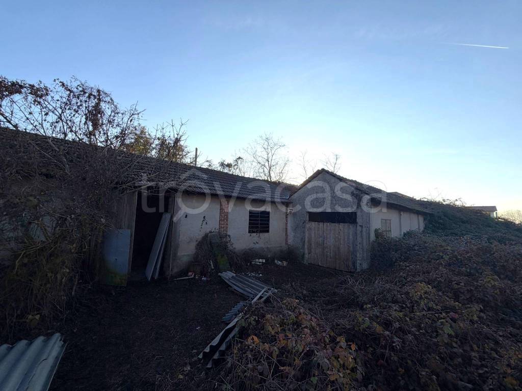 immagine annuncio 9 di 15