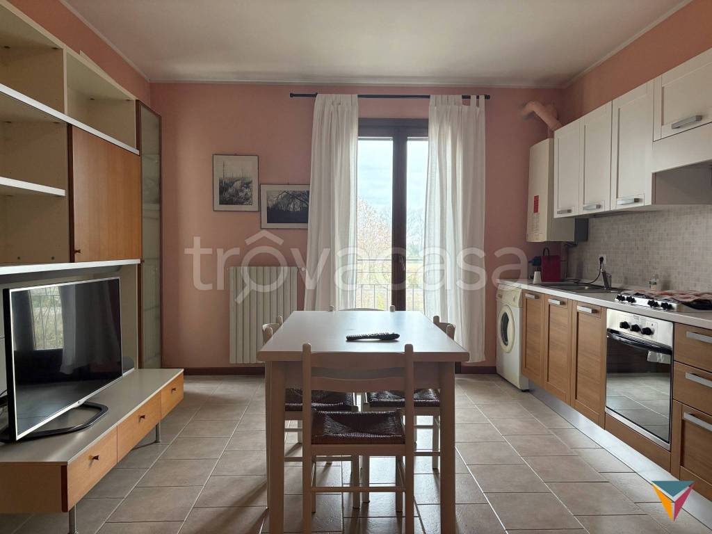 immagine annuncio 1 di 14