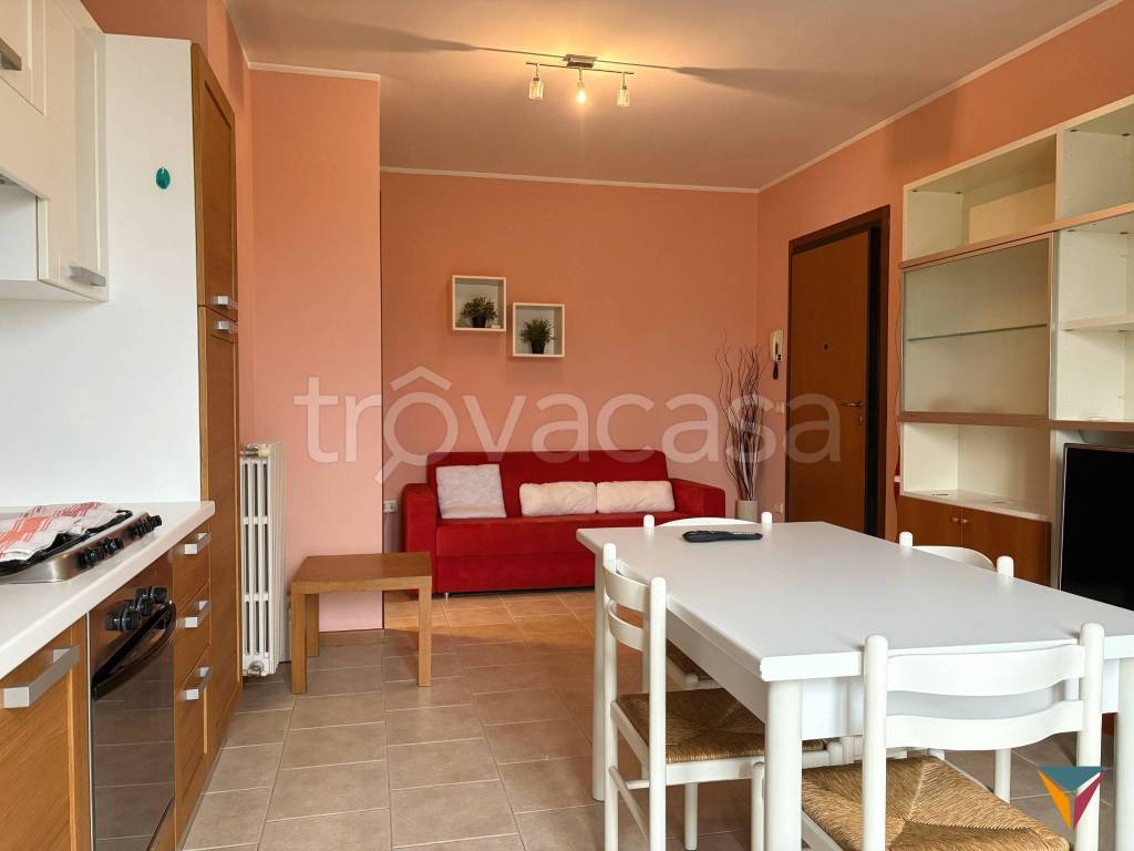 immagine annuncio 4 di 14