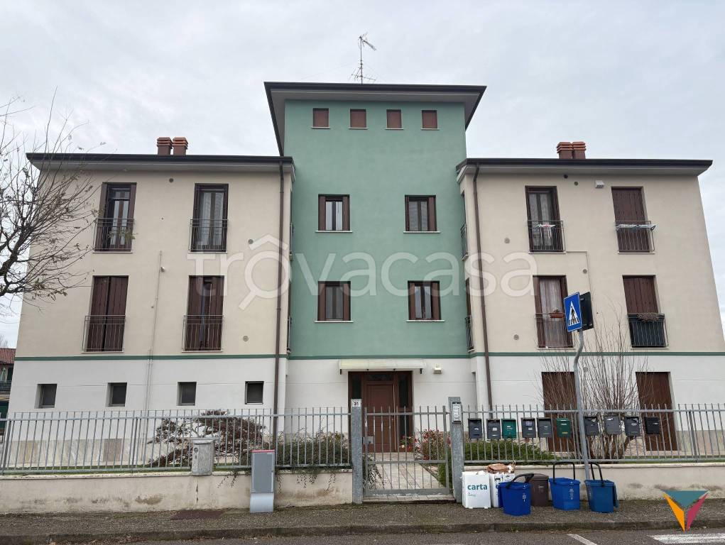 immagine annuncio 11 di 14