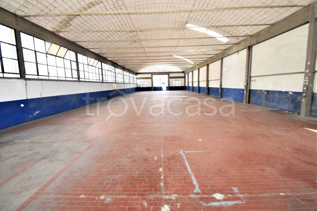 immagine annuncio 7 di 11