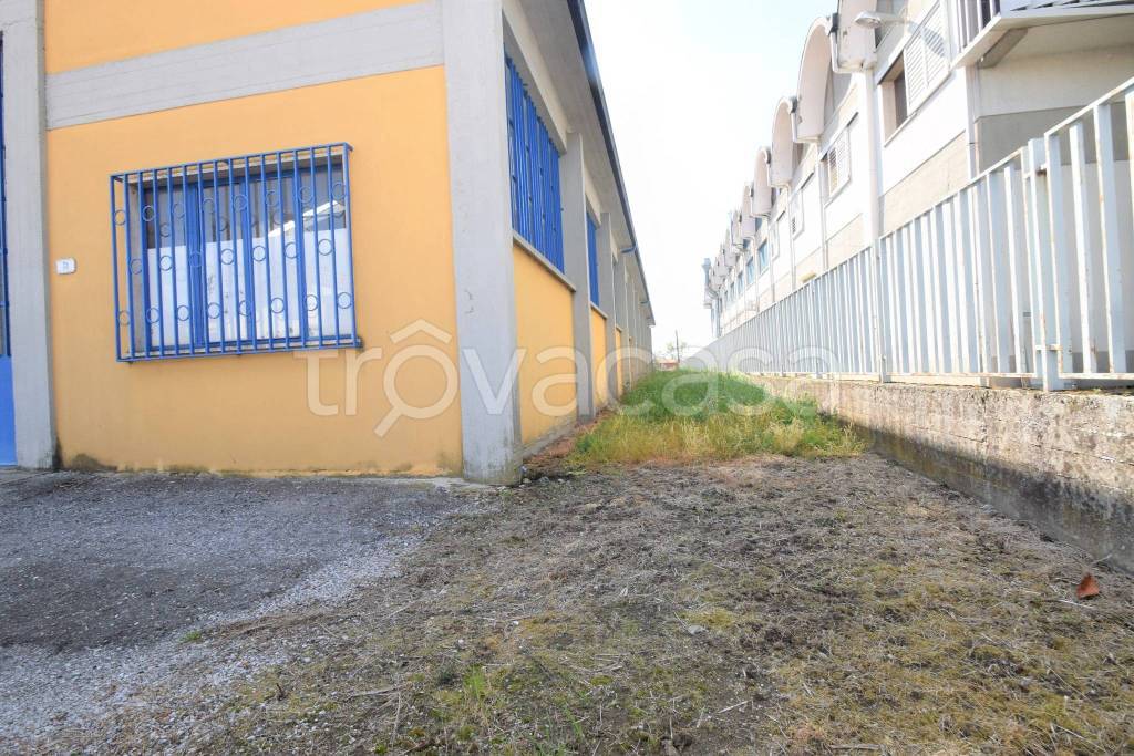 immagine annuncio 5 di 11