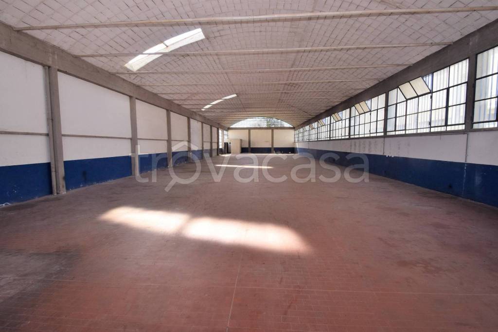 immagine annuncio 8 di 11