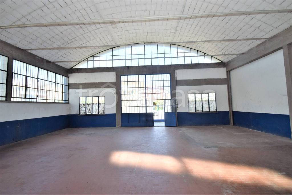 immagine annuncio 9 di 11