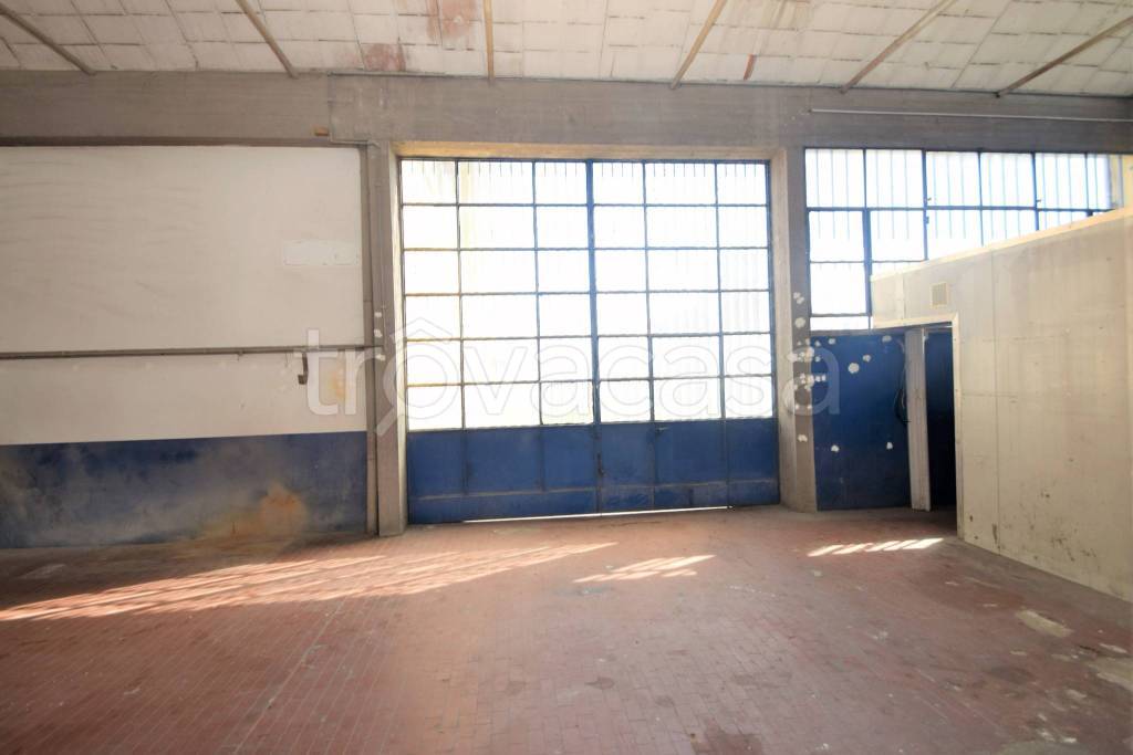 immagine annuncio 10 di 11