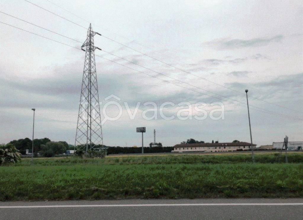 immagine annuncio 9 di 12