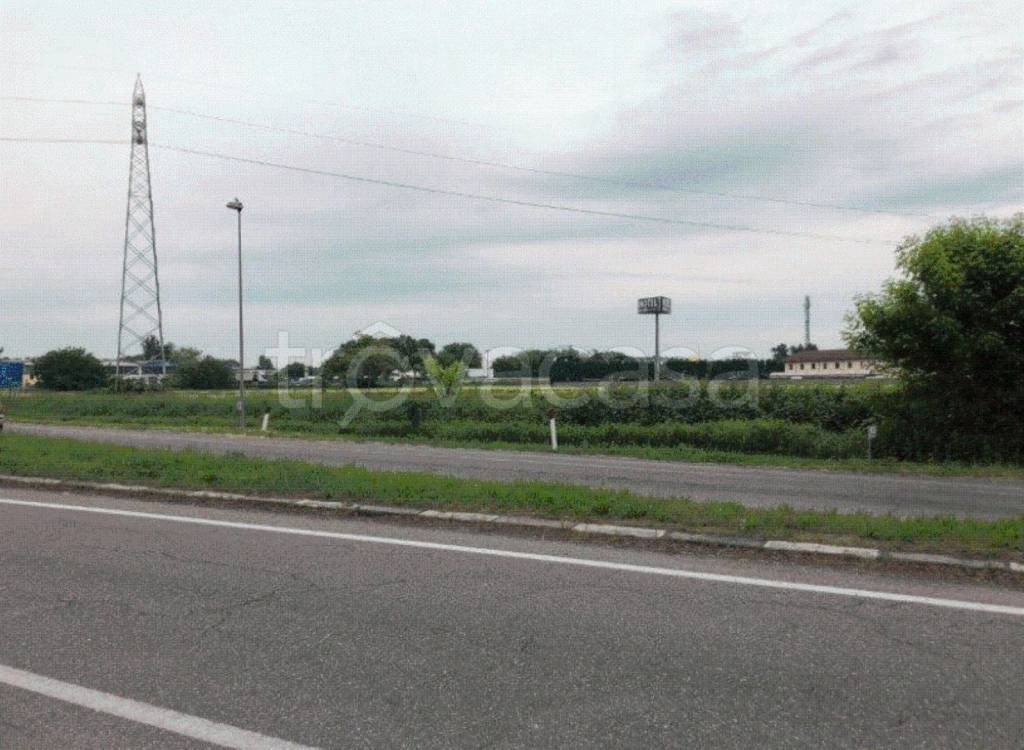 immagine annuncio 11 di 12