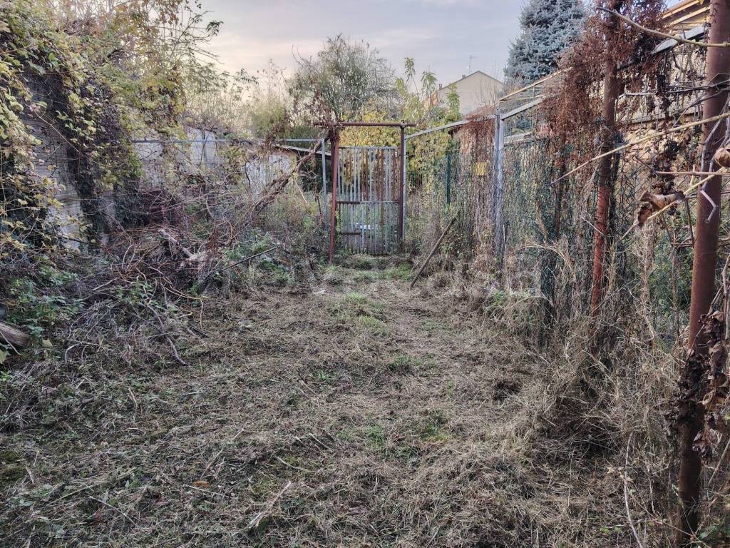 immagine annuncio 11 di 15