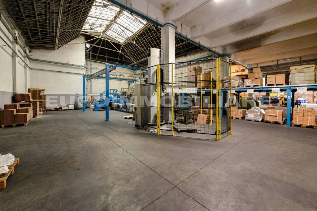 immagine annuncio 13 di 15