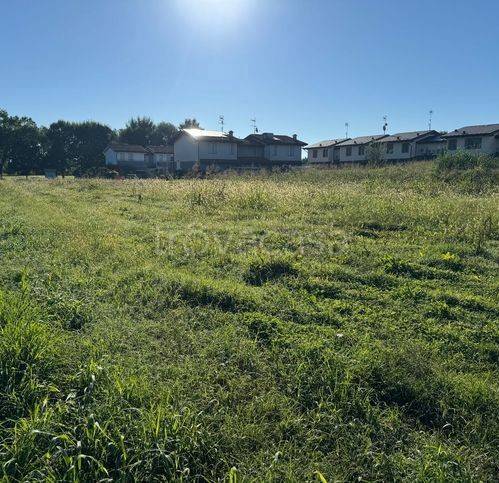 immagine annuncio 4 di 12