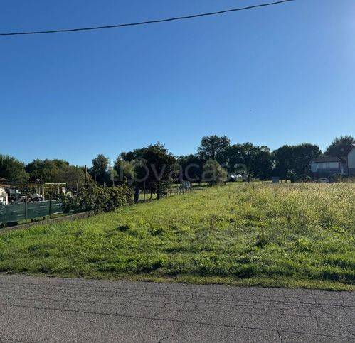 immagine annuncio 6 di 12