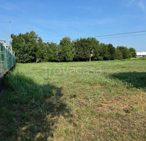 immagine annuncio 7 di 13