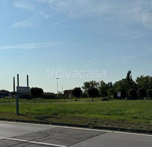 immagine annuncio 8 di 13