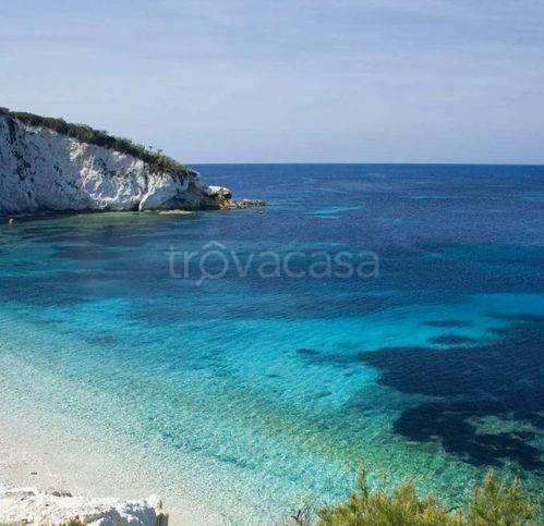 immagine annuncio 10 di 14