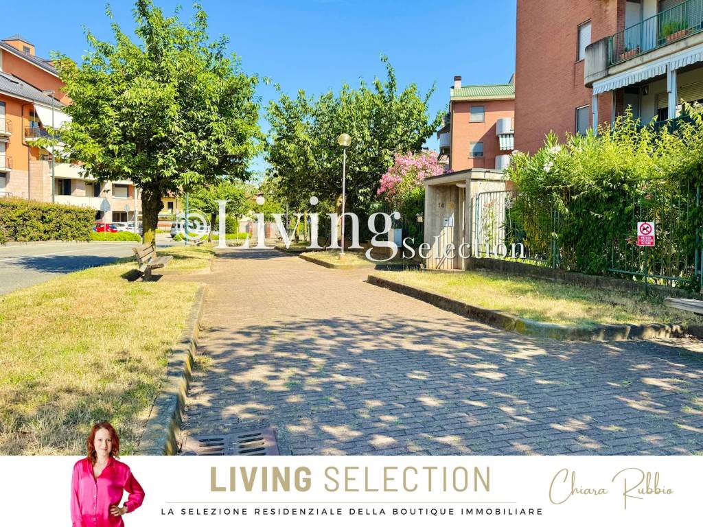 immagine annuncio 8 di 15