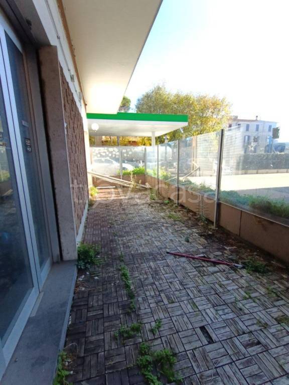 immagine annuncio 1 di 7