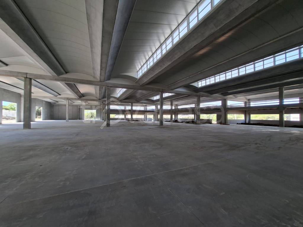 immagine annuncio 6 di 13