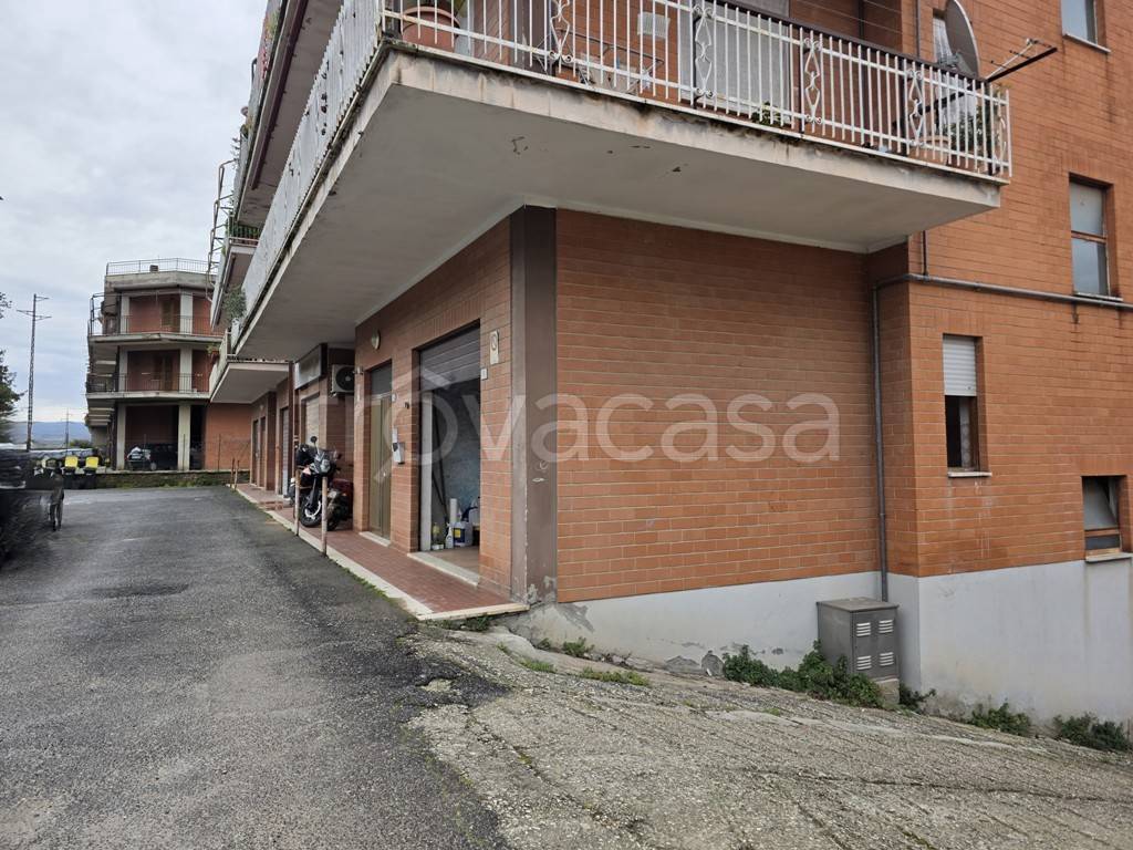 immagine annuncio 6 di 13