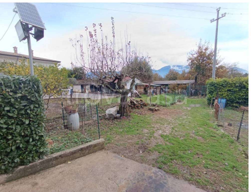 immagine annuncio 3 di 12