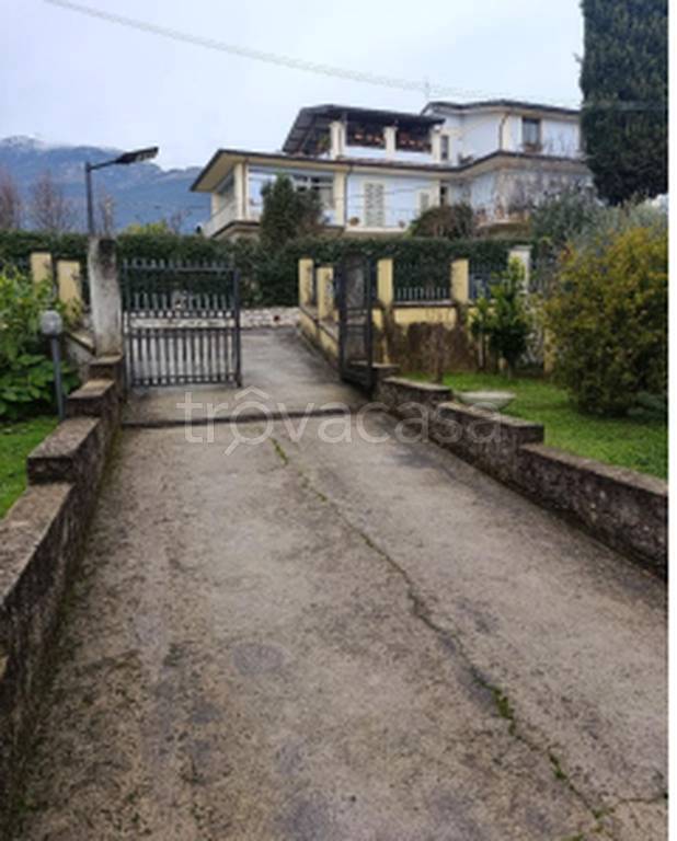 immagine annuncio 4 di 12