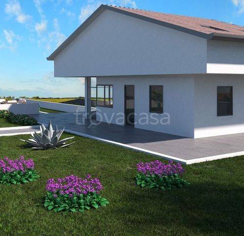 immagine annuncio 2 di 12