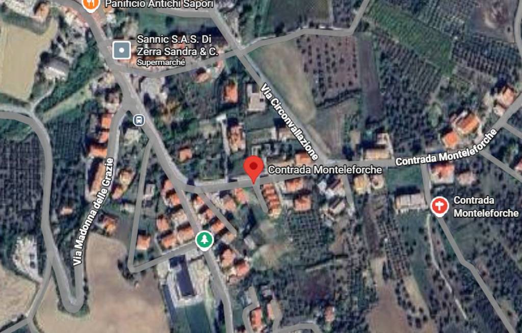 immagine annuncio 2 di 11