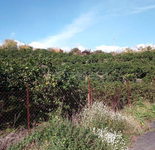 immagine annuncio 5 di 8