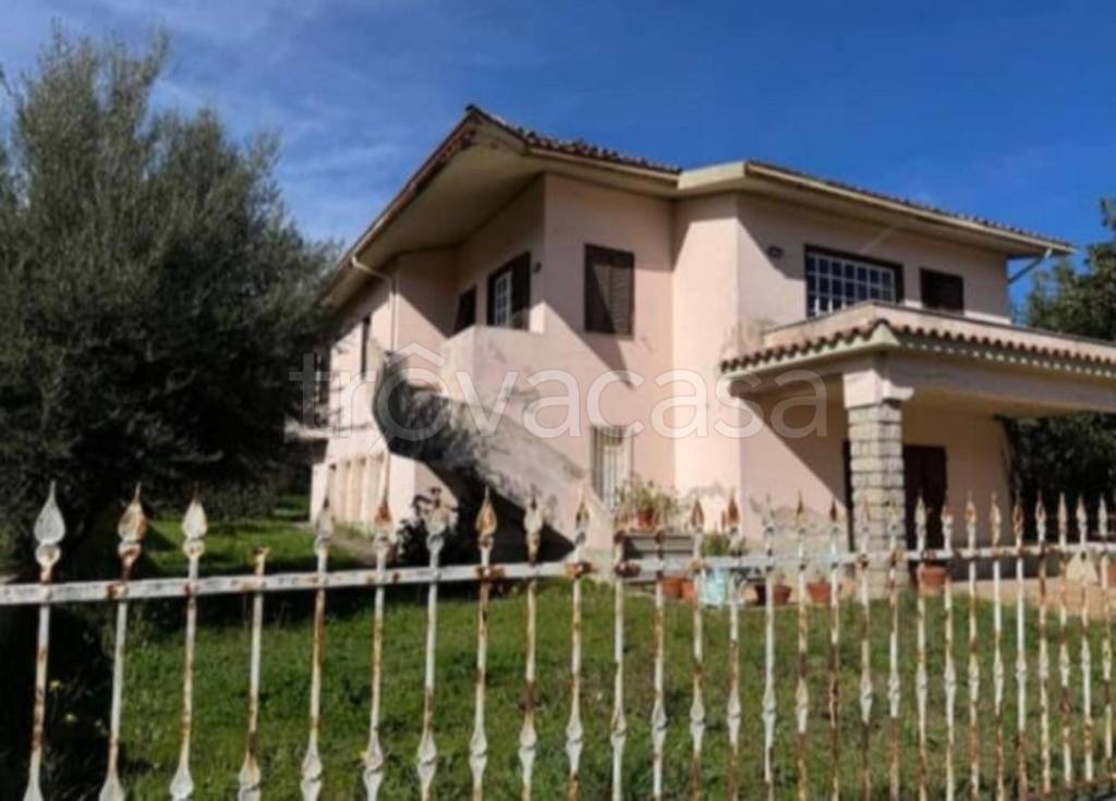 immagine annuncio 10 di 12