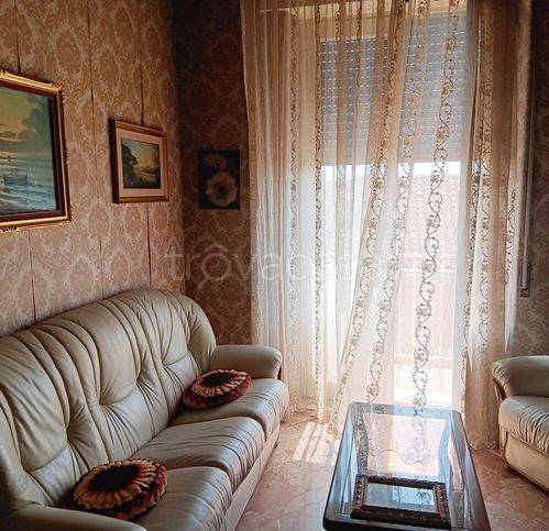 immagine annuncio 6 di 14