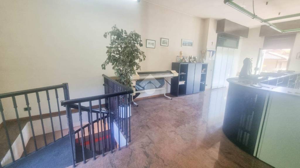 immagine annuncio 9 di 11