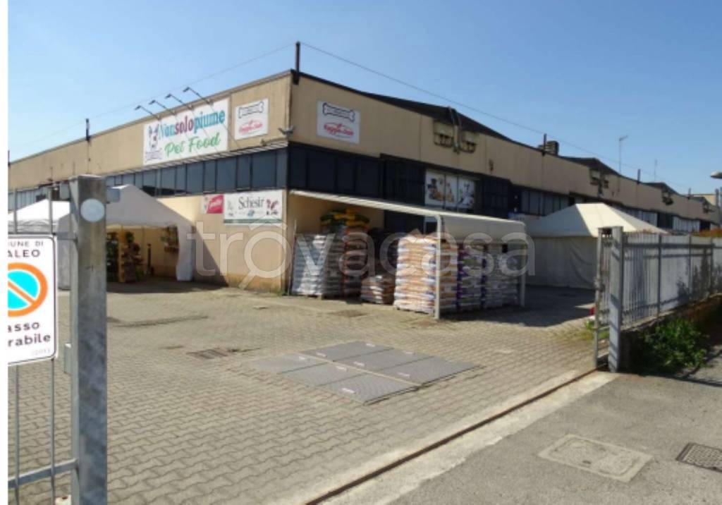 immagine annuncio 2 di 10