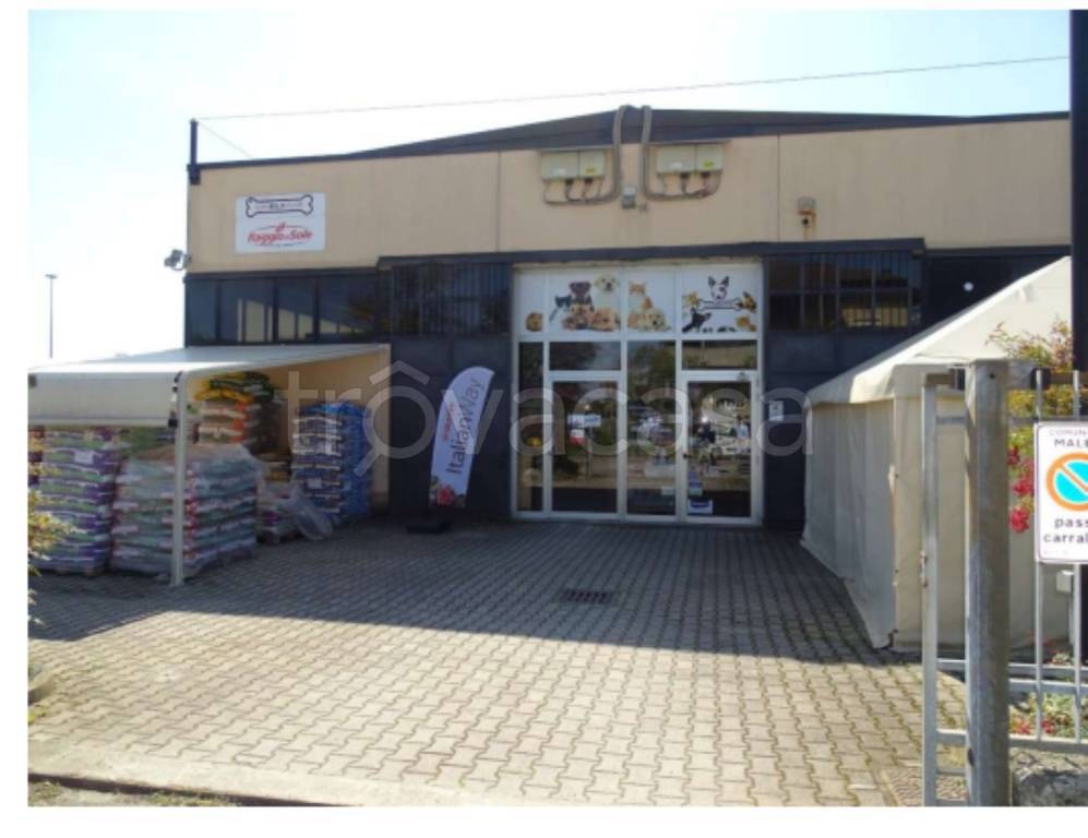 immagine annuncio 3 di 10