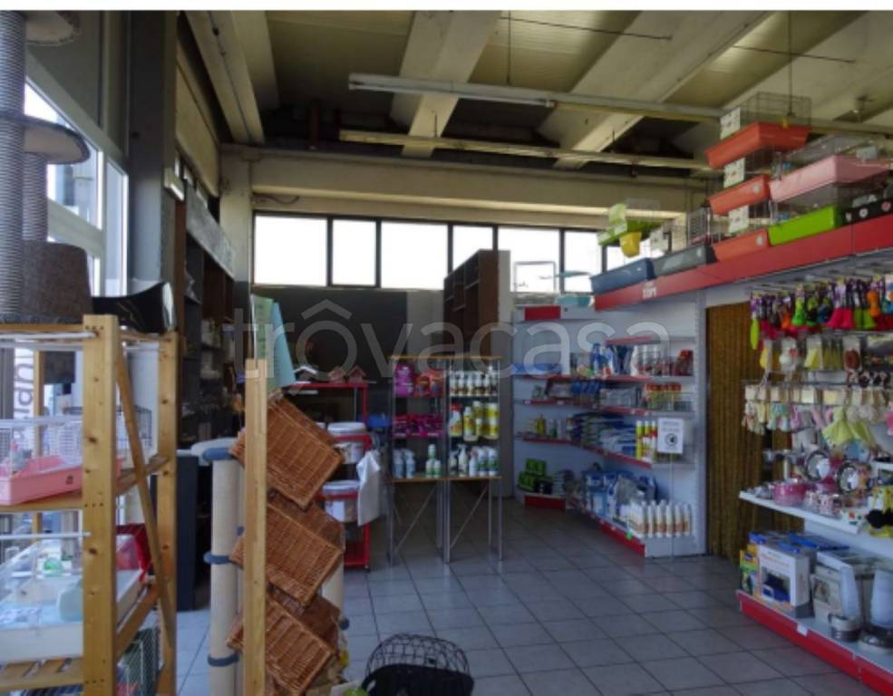 immagine annuncio 4 di 10