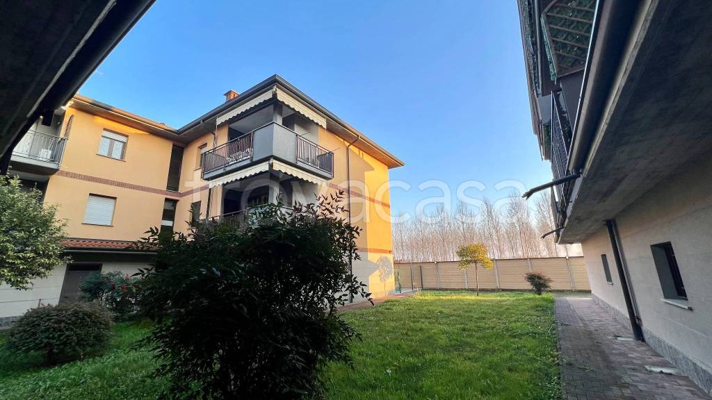 immagine annuncio 4 di 15