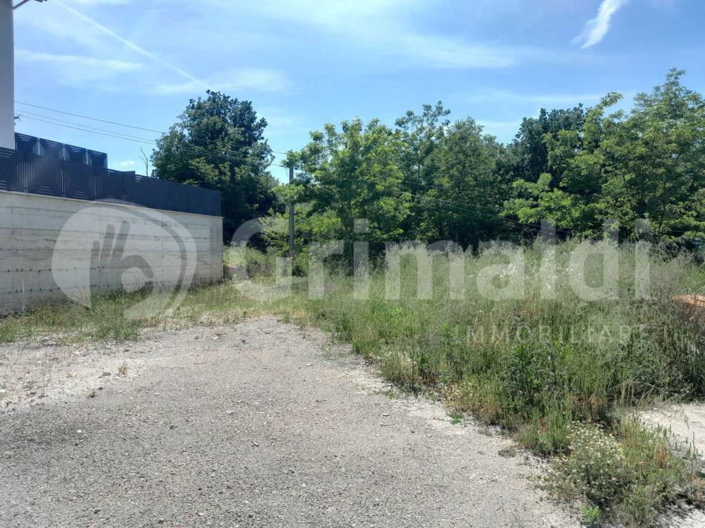 immagine annuncio 6 di 11