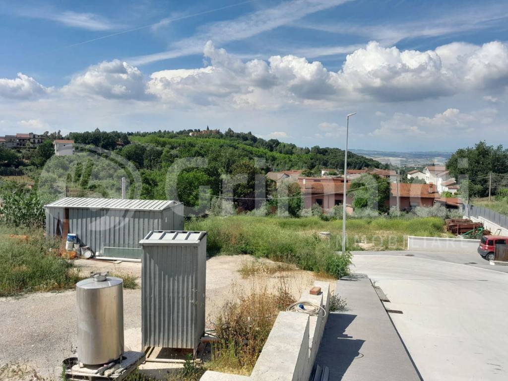 immagine annuncio 7 di 11