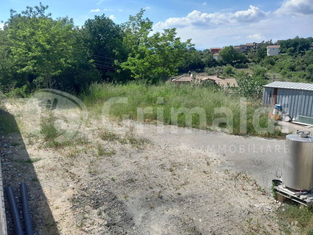 immagine annuncio 10 di 11