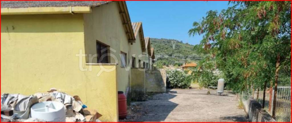 immagine annuncio 7 di 13