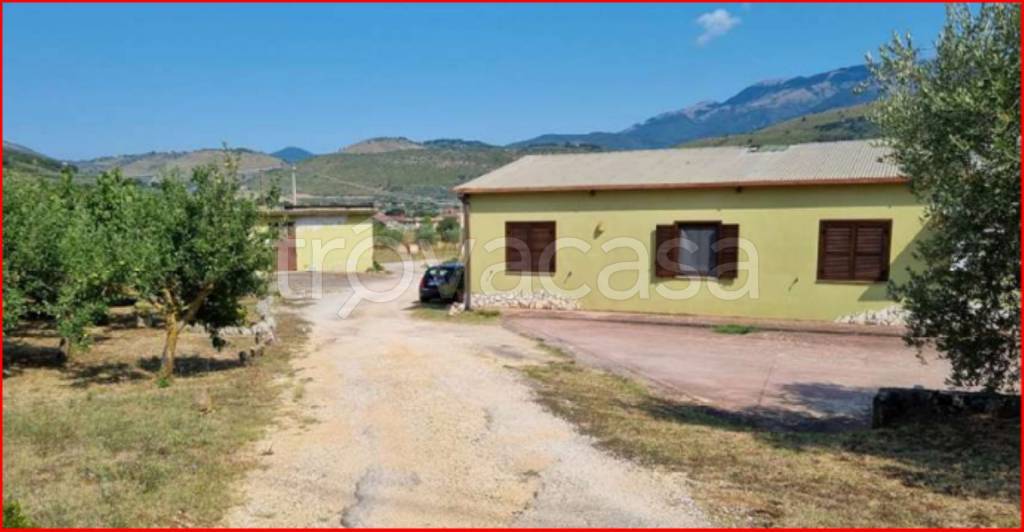 immagine annuncio 9 di 13