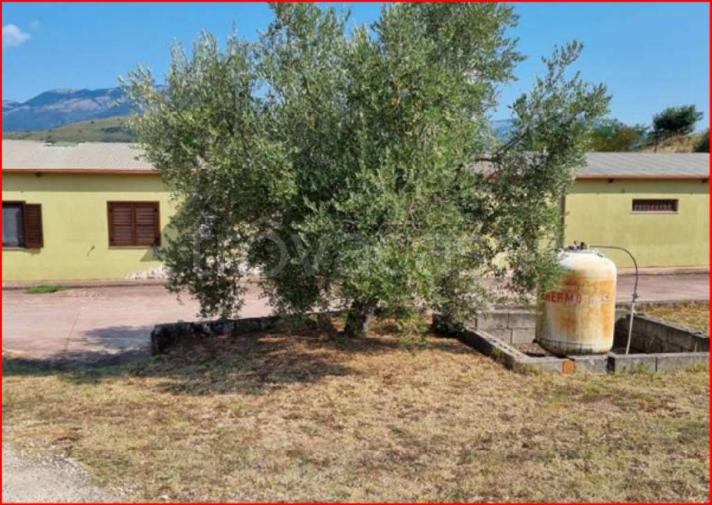 immagine annuncio 10 di 13