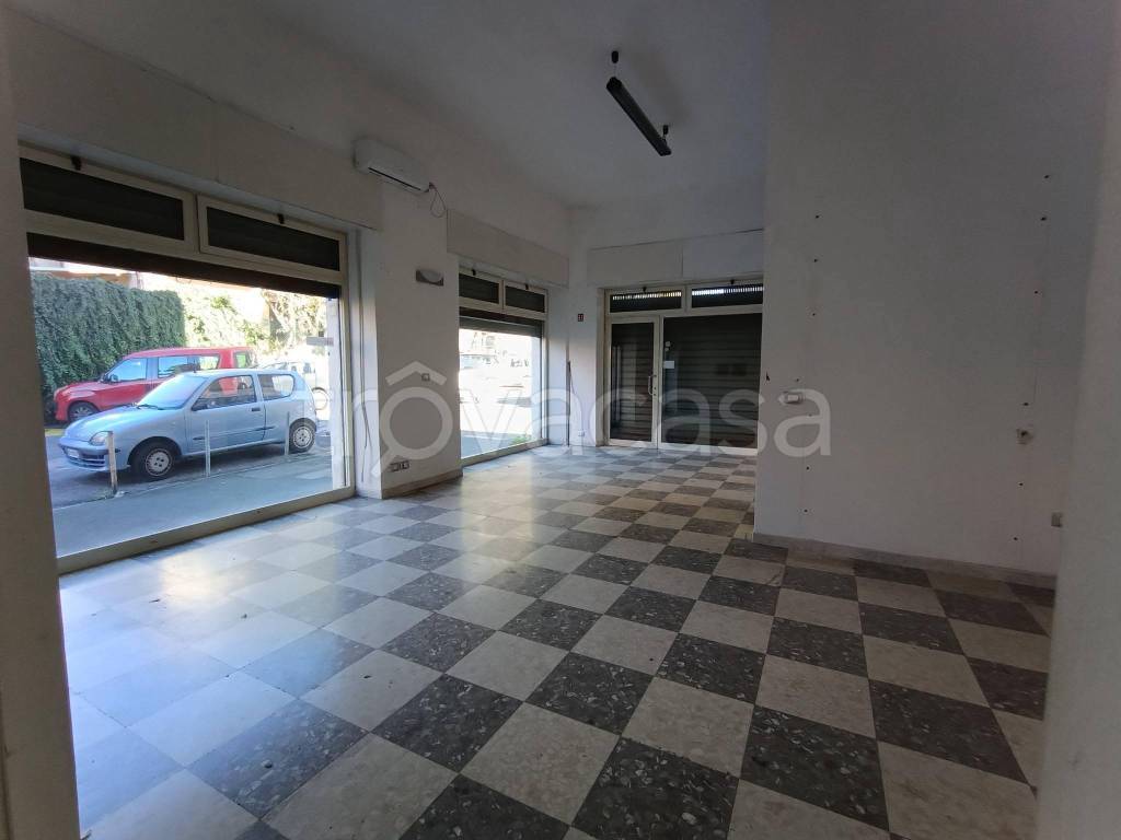 immagine annuncio 4 di 6