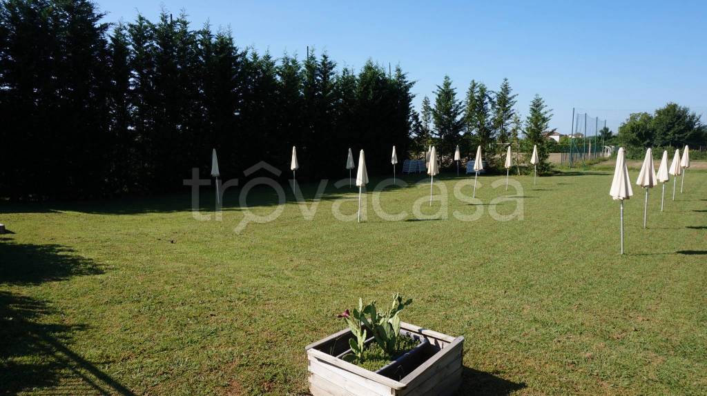 immagine annuncio 6 di 8