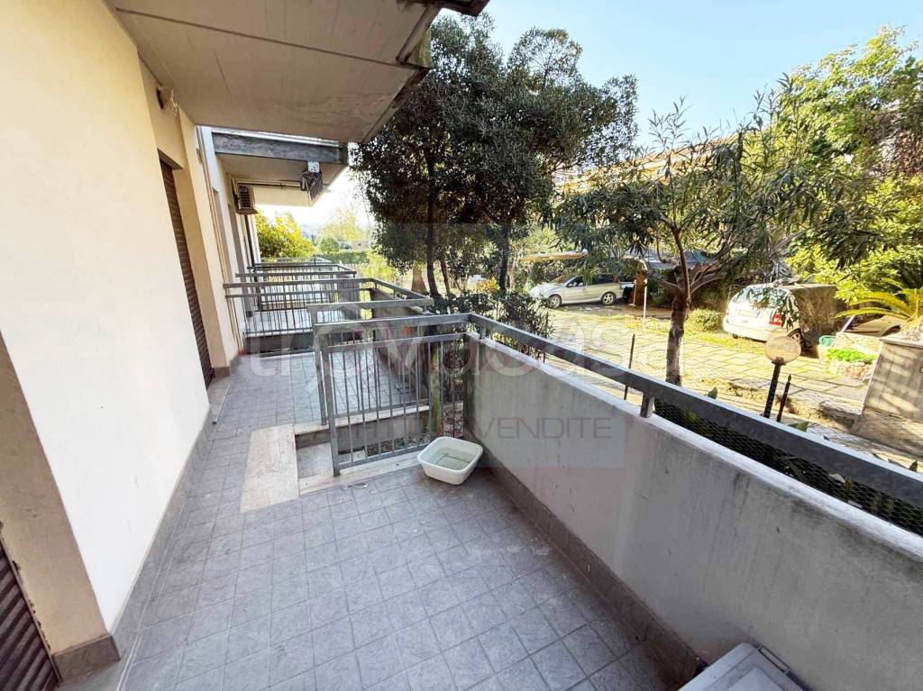 immagine annuncio 8 di 14