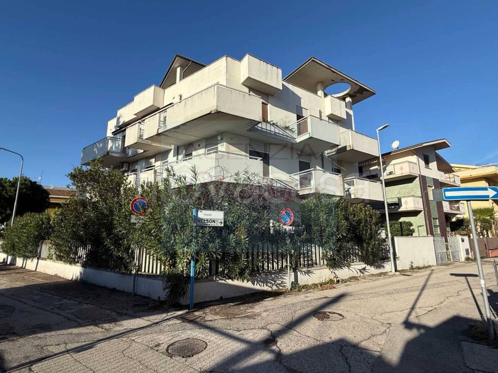 immagine annuncio 11 di 14